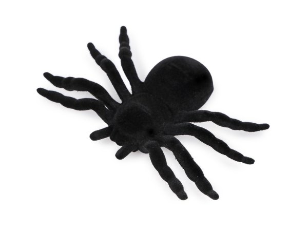 Sametový pavouk Halloween