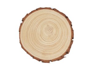 Přírodní dřevěné kolečko / podložka k domalování a dotvoření Ø16 cm