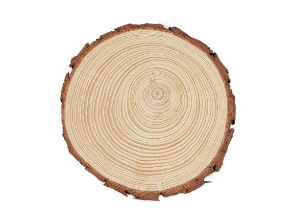 Přírodní dřevěné kolečko / podložka k domalování a dotvoření Ø16 cm
