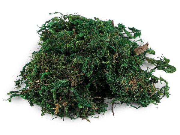 Dekorační mech 25 g