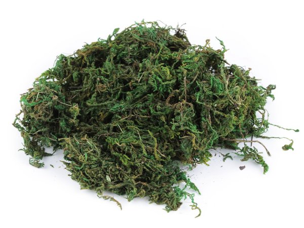 Dekorační přírodní mech 250 g
