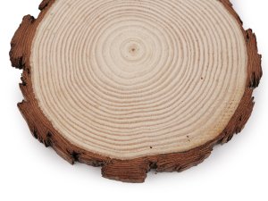 Přírodní dřevěné kolečko / podložka k domalování a dotvoření Ø14 cm